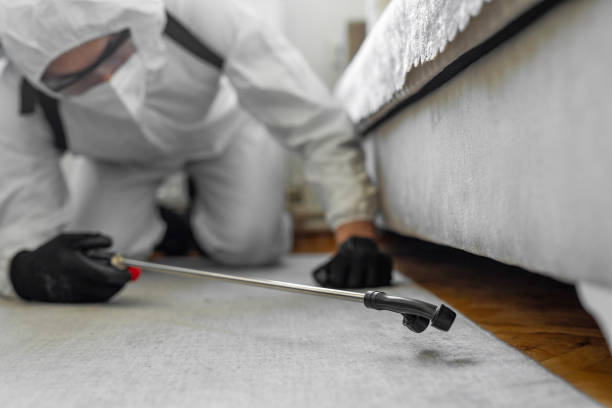 Professional Cockroach Control technician working in Summit County County, OH